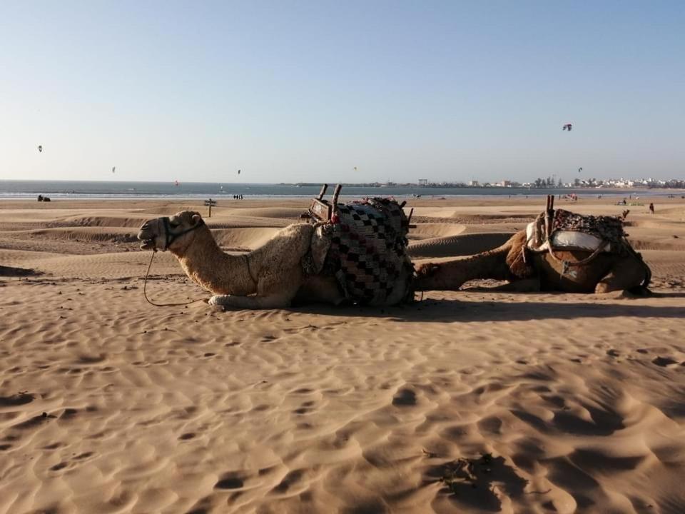 Dar Farah, Au Coeur De La Medina Vakantiehuis Essaouira